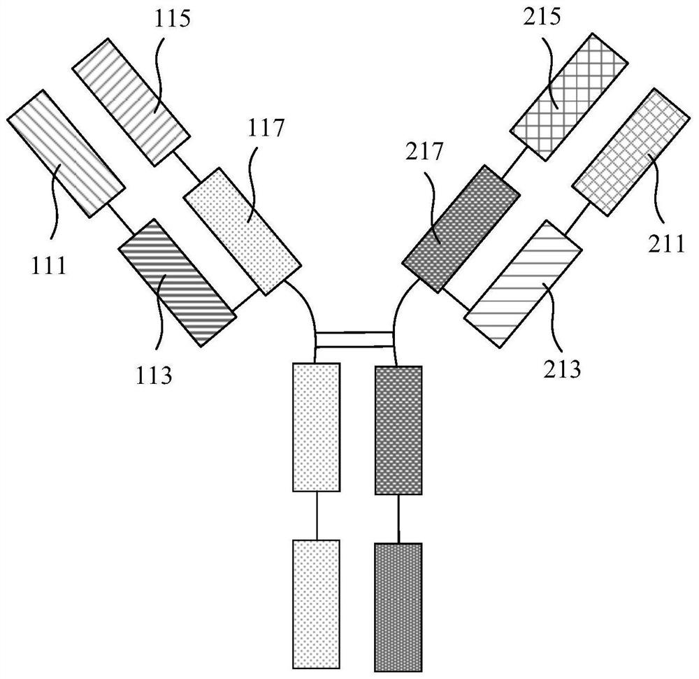 Anti-cea antibody and application thereof, cell capable of secreting anti-cea antibody and preparation method thereof