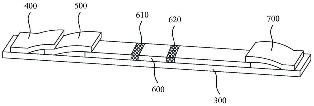 Anti-cea antibody and application thereof, cell capable of secreting anti-cea antibody and preparation method thereof