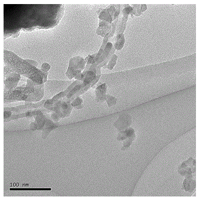 Preparation method of carbon nanotube reinforced hydroxyapatite composite material