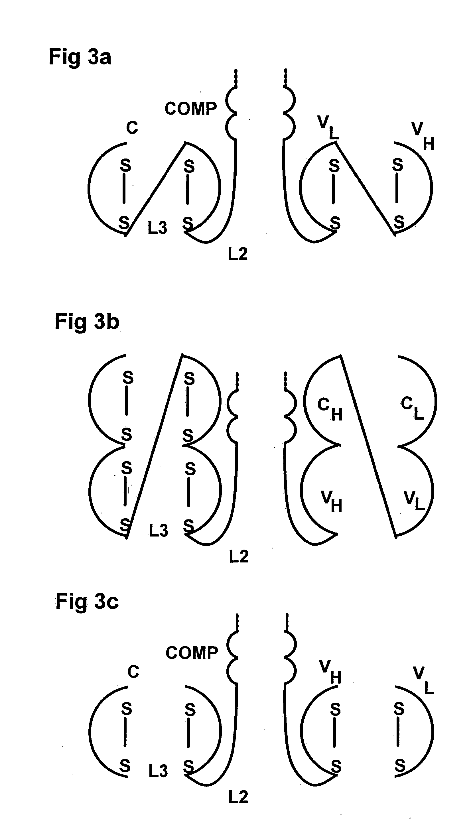 Chimeric MHC protein and oligomer thereof for specific targeting