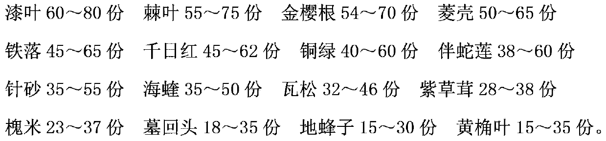 Medicine for treating bedsores, and preparation method thereof