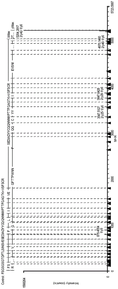 Antibody protein disulfide bond paired analysis method