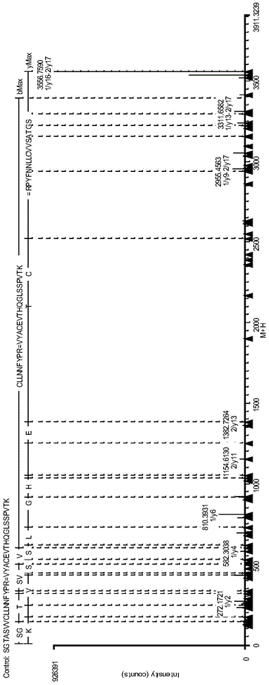 Antibody protein disulfide bond paired analysis method