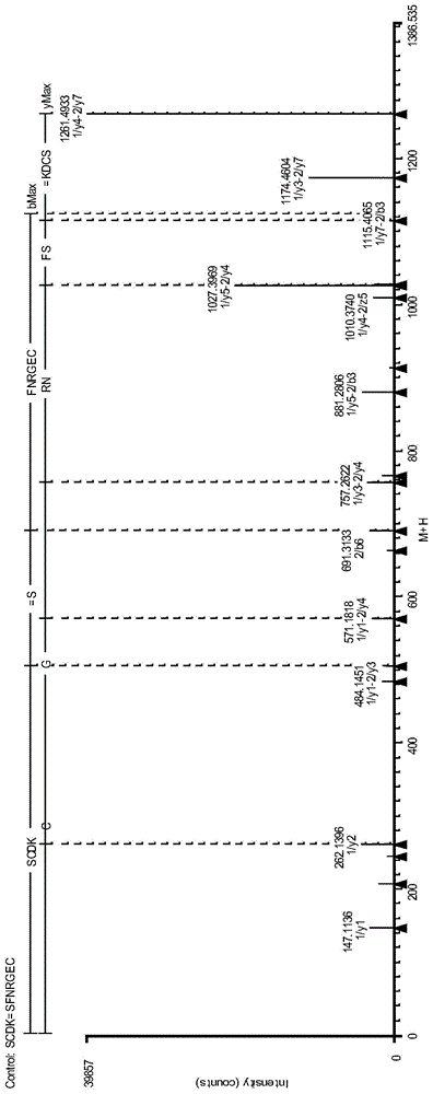 Antibody protein disulfide bond paired analysis method