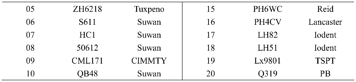 Construction method of warm corn Suwan-Iodent population