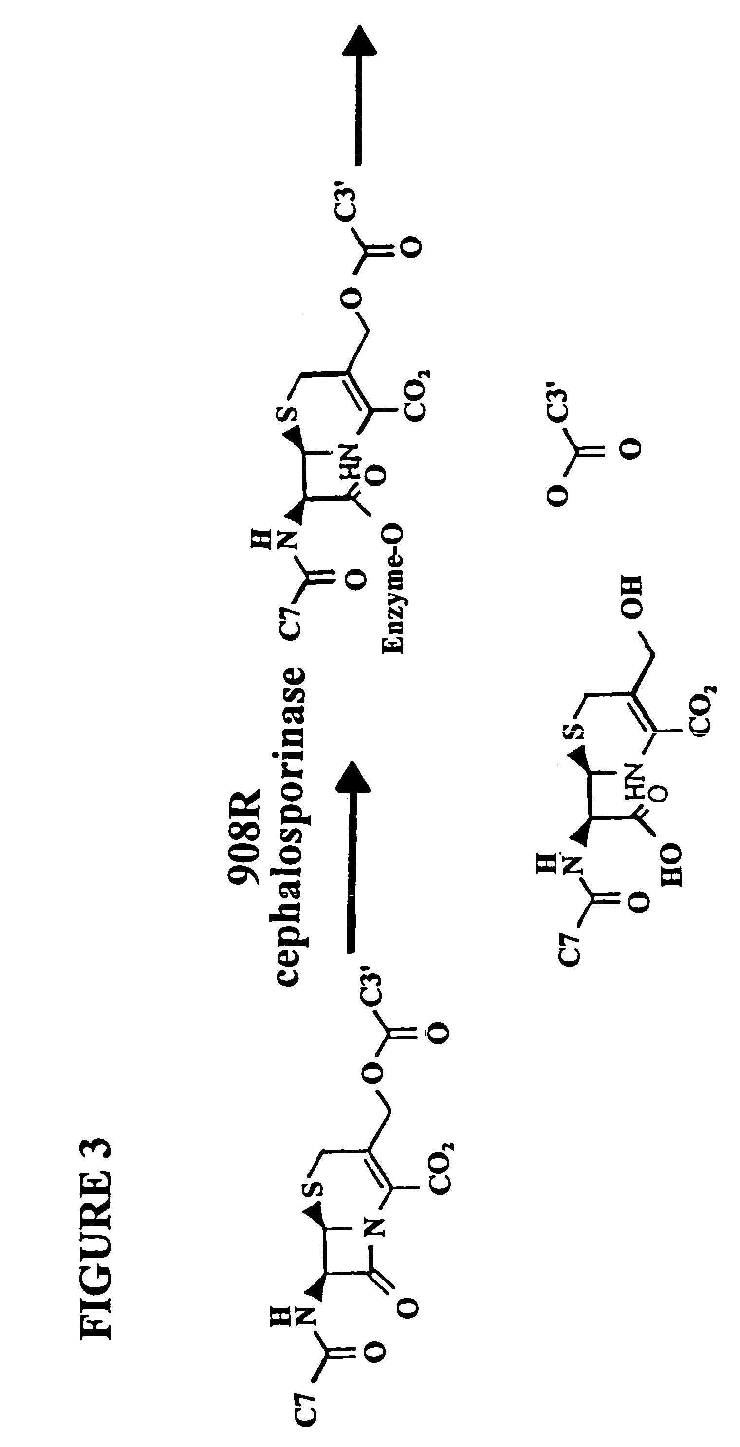 Methods and assays for screening protein targets