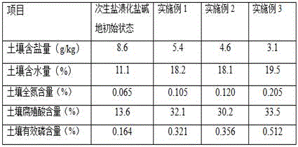 Method for carrying out original soil greening on secondary salinization saline-alkali soil through moisture and fertilizer preserving nutrient soil