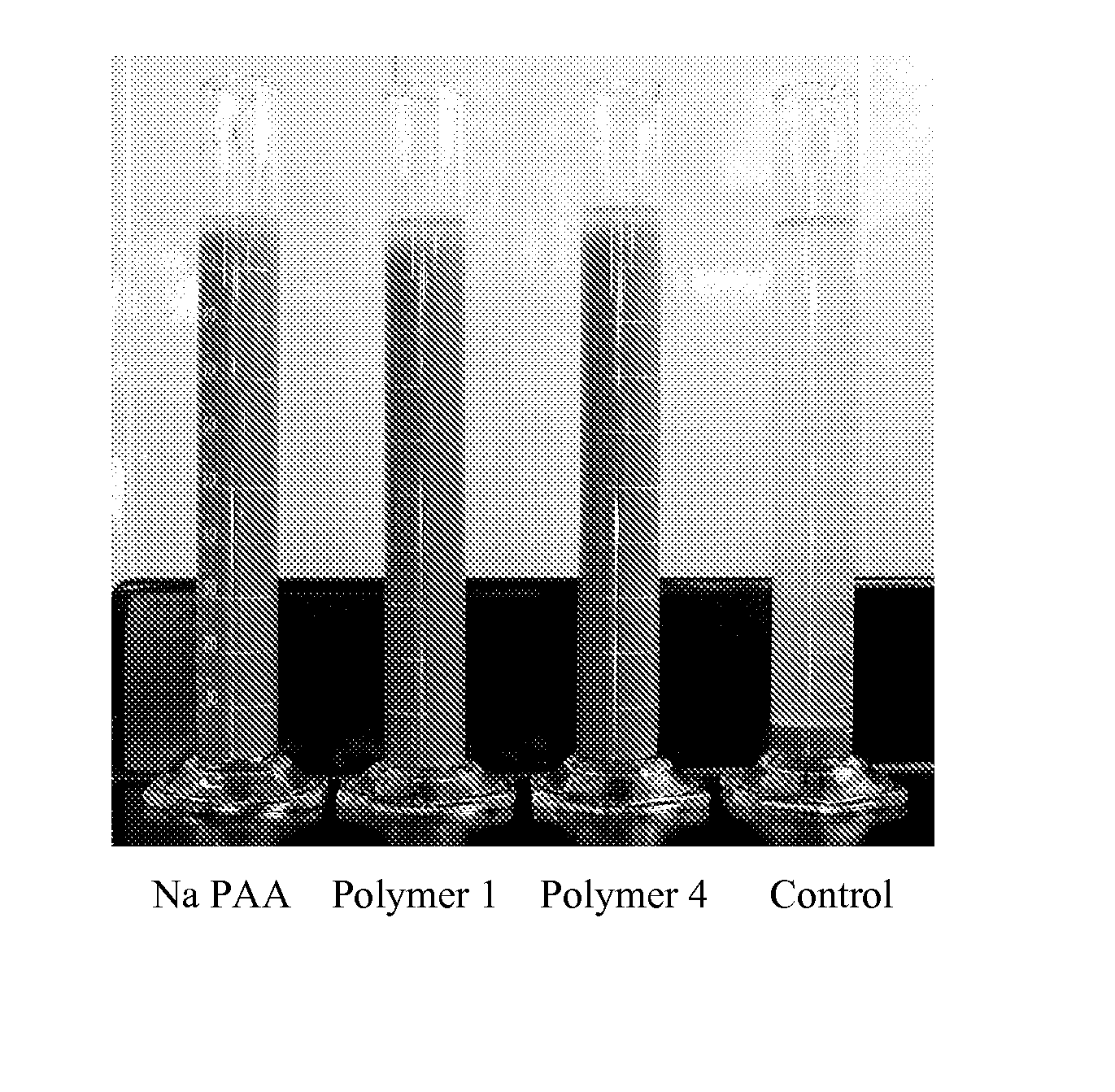 Hybrid copolymers