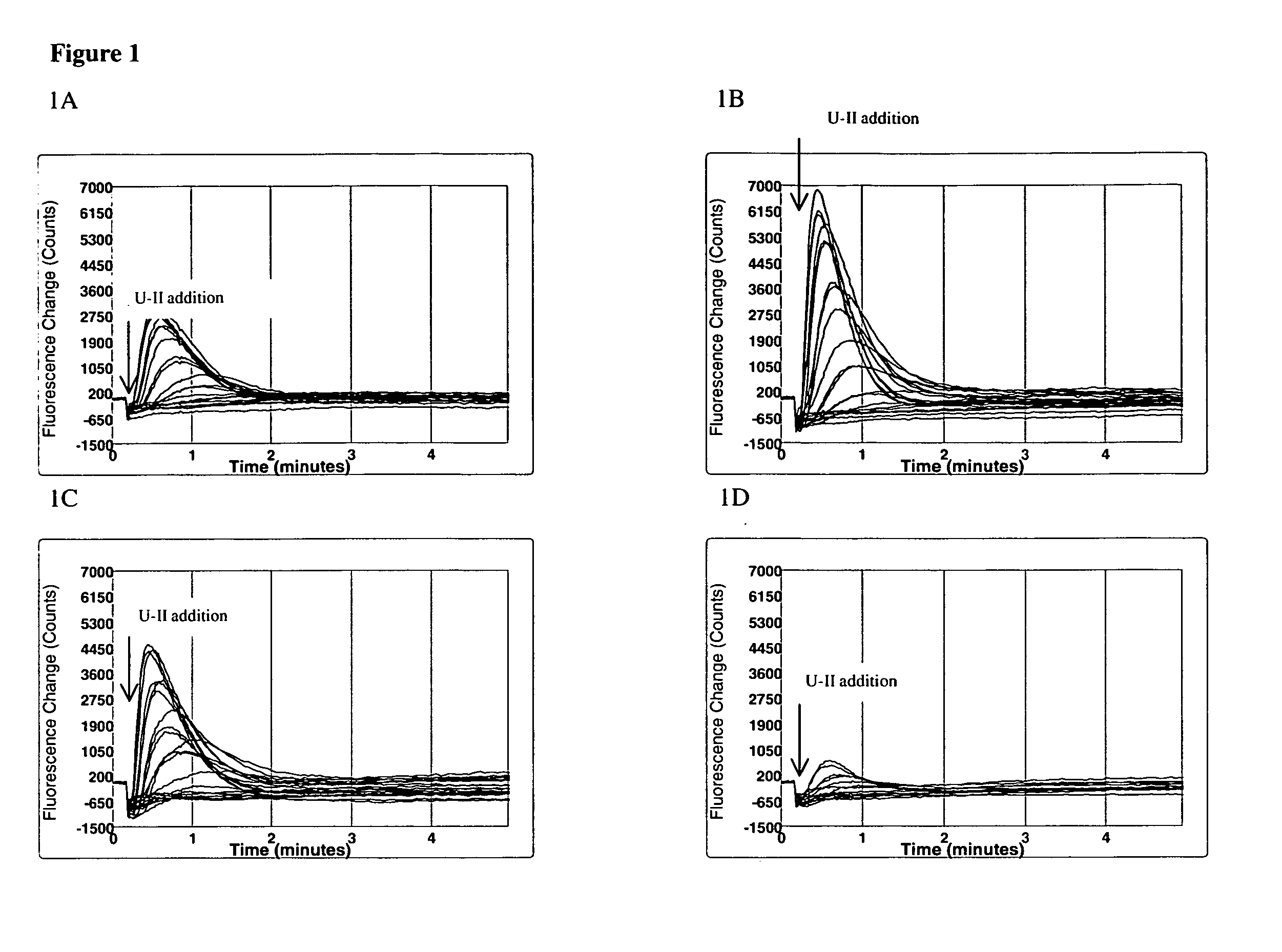 Human cell clones useful for functional analyses of the biological activity of an endogeneous urotensin II receptor and uses thereof