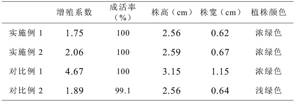 A method for in vitro preservation of the germplasm resources of the succulent plant of the genus S.