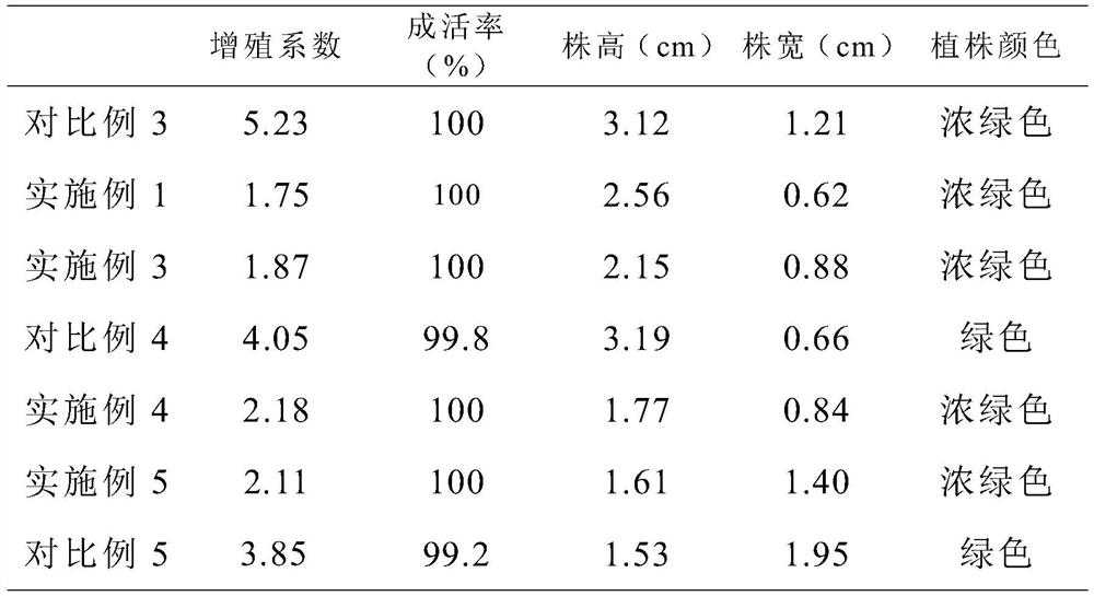 A method for in vitro preservation of the germplasm resources of the succulent plant of the genus S.