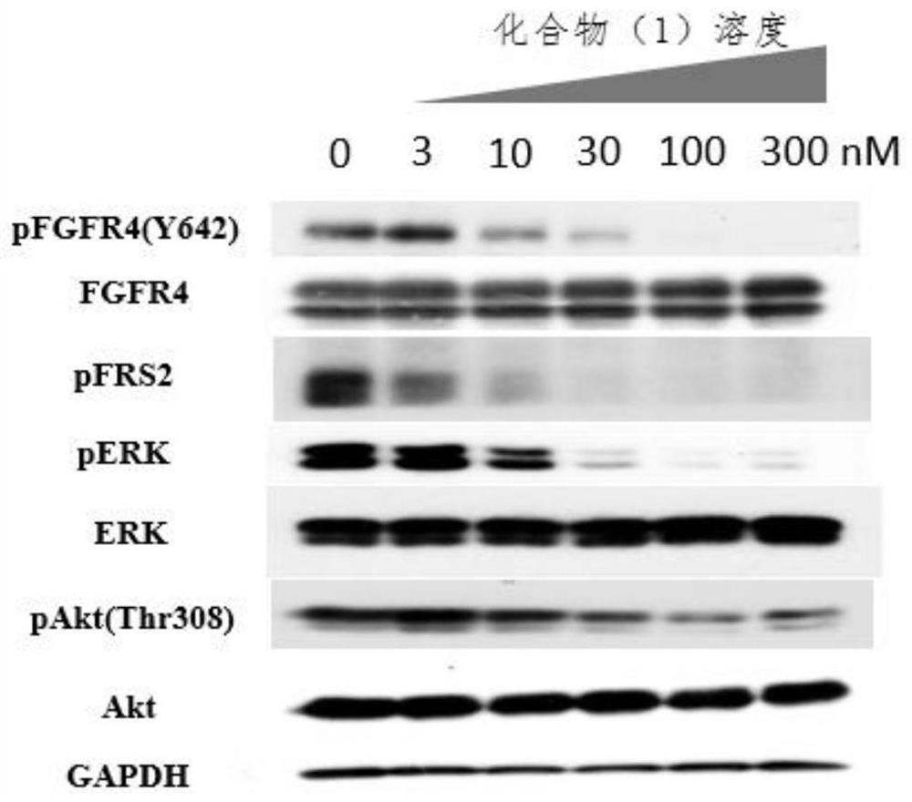 2-aminopyrimidine compounds and their applications