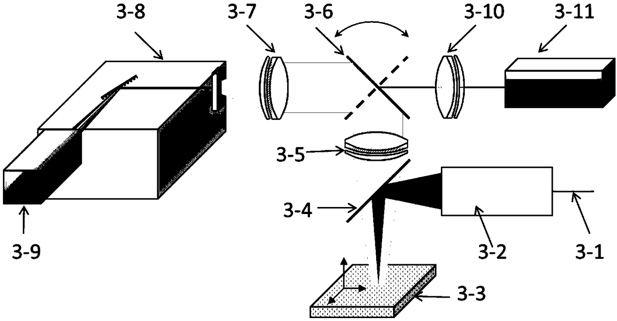 Two-photon excitation delay detection fluorescence imaging analysis method and equipment for live animal