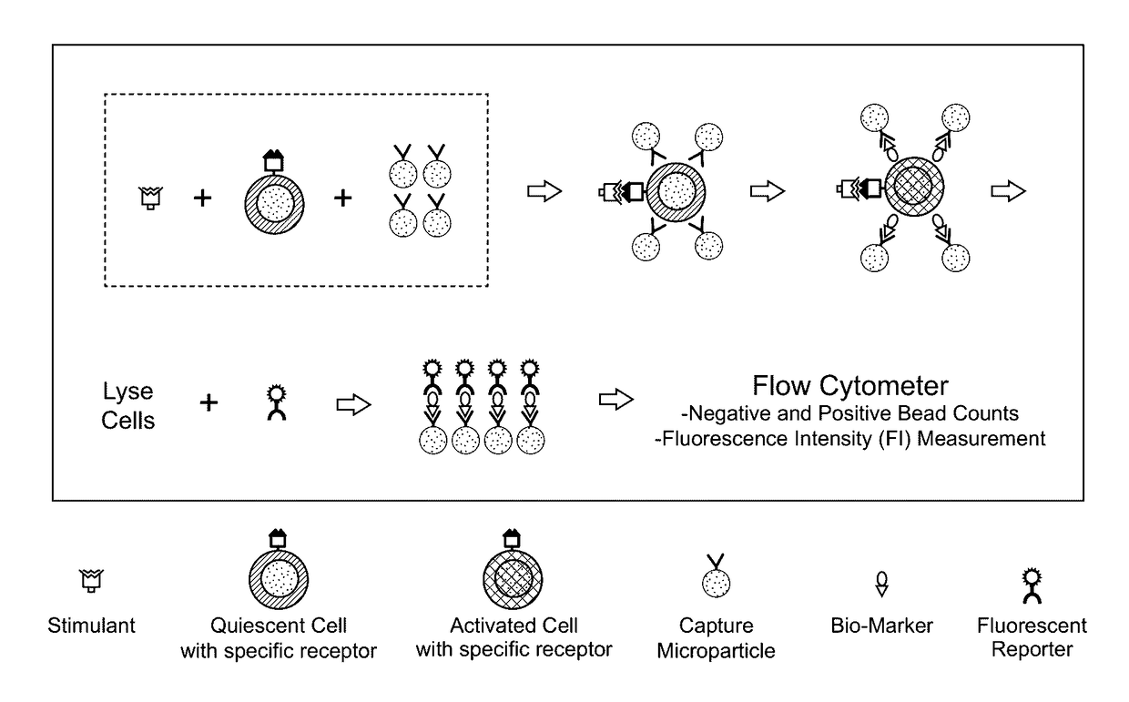 Biomarker Detection Methods and Systems and Kits for Practicing Same