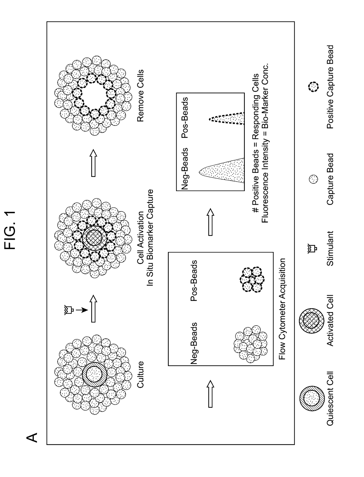 Biomarker Detection Methods and Systems and Kits for Practicing Same