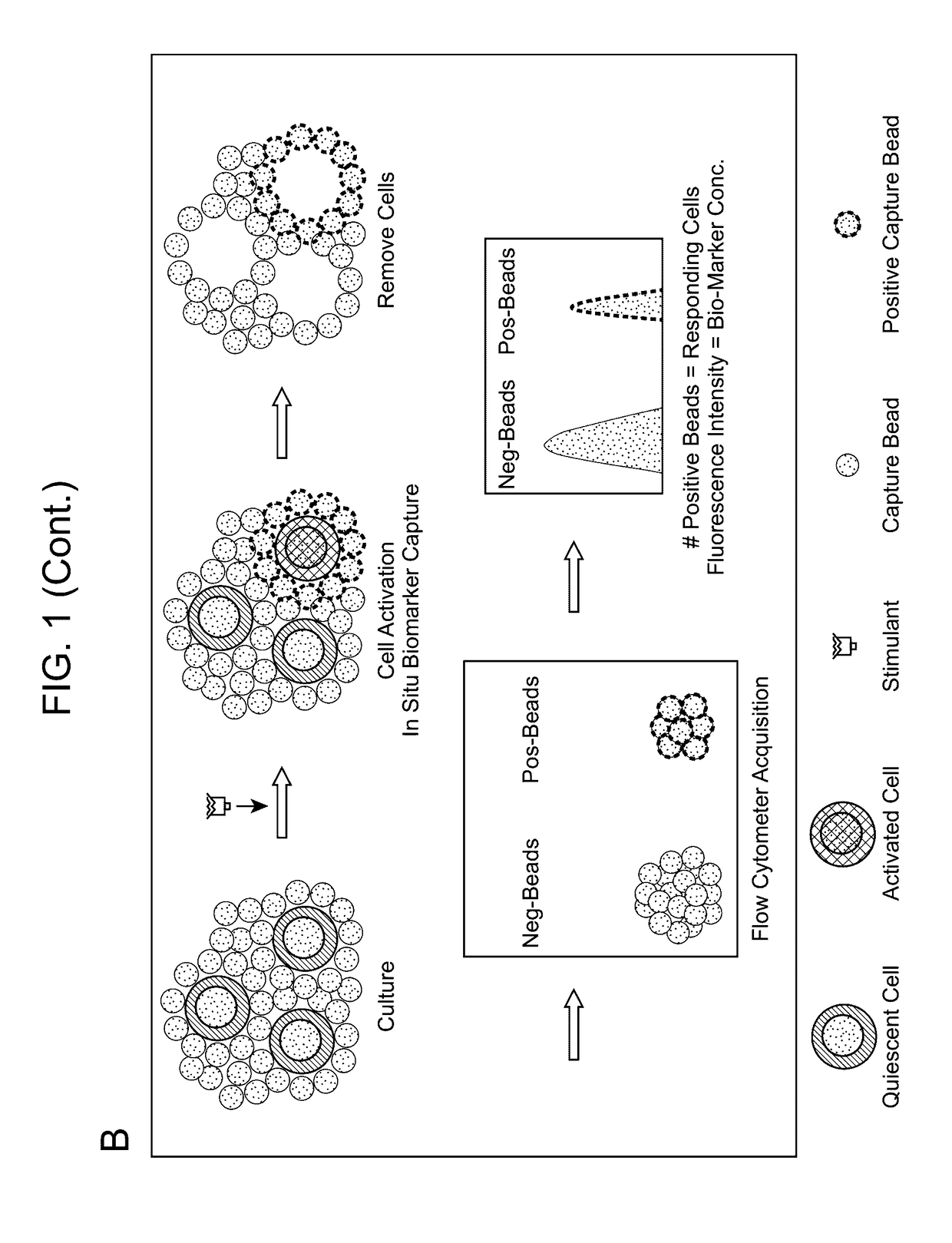 Biomarker Detection Methods and Systems and Kits for Practicing Same