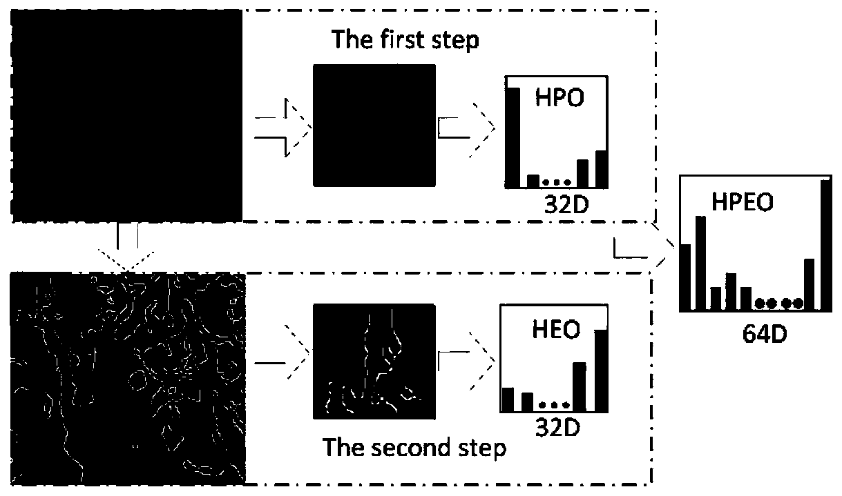 Maximum histogram different-source image matching method based on point-line features