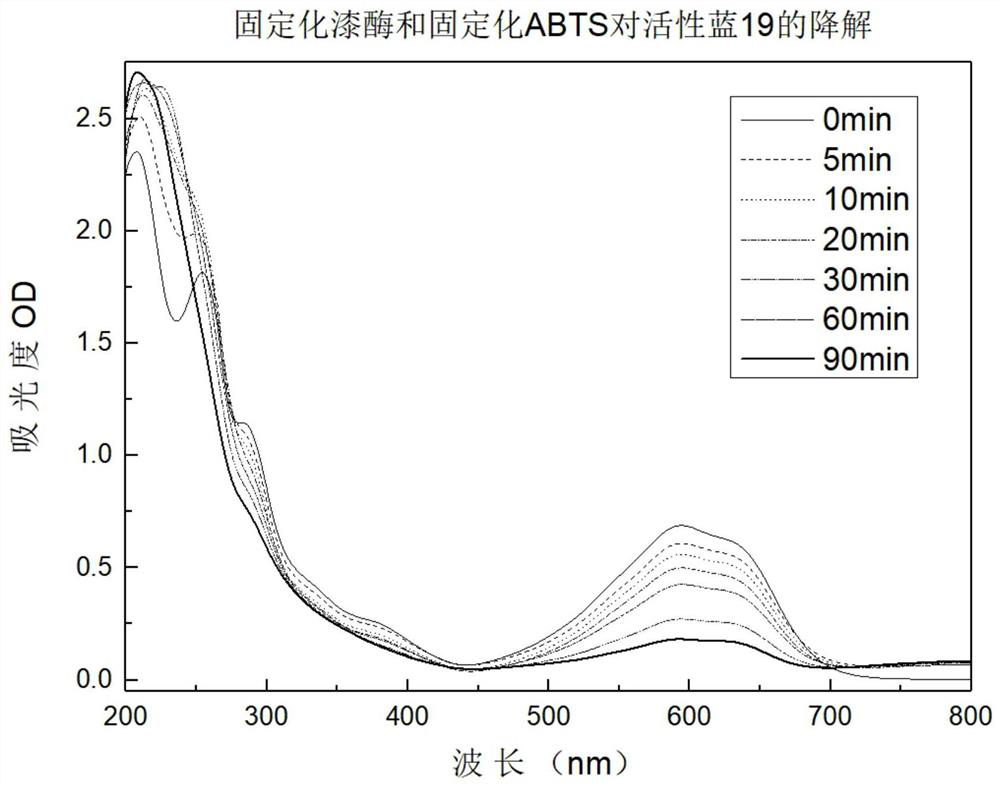 Preparation method of copper alginate loaded laccase and mediator ABTS composite biocatalyst