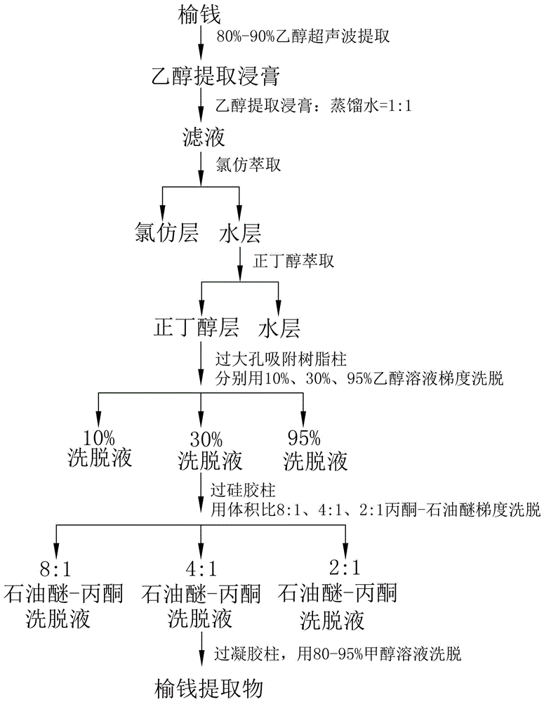 Application of Ulmus pumila fruit extract in preparation of neuroprotective therapy drugs