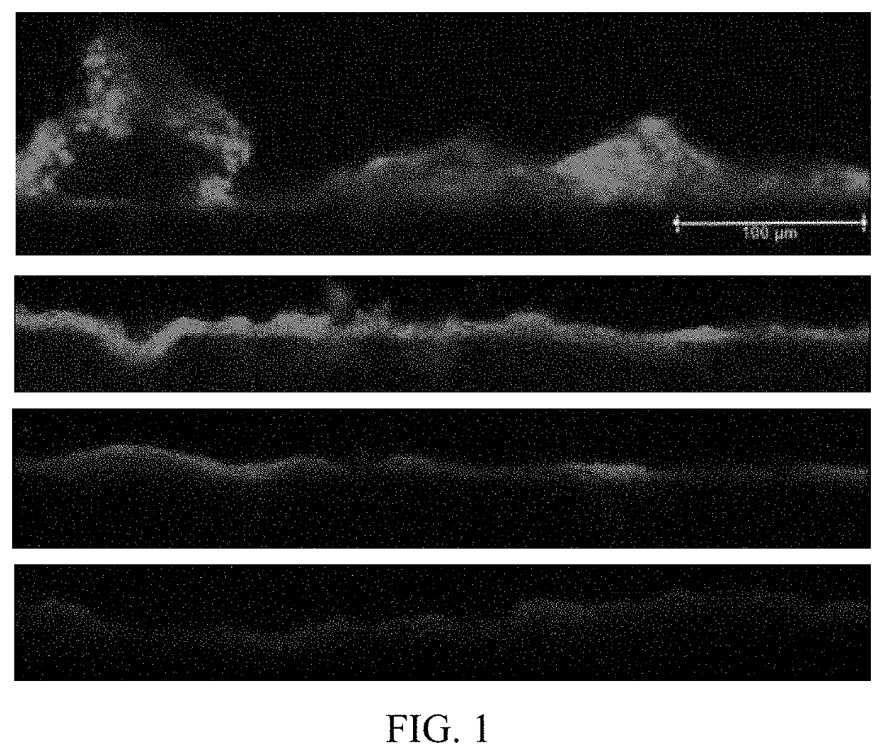 Oral Care Compositions Comprising Hops Beta Acid And Amino Acid