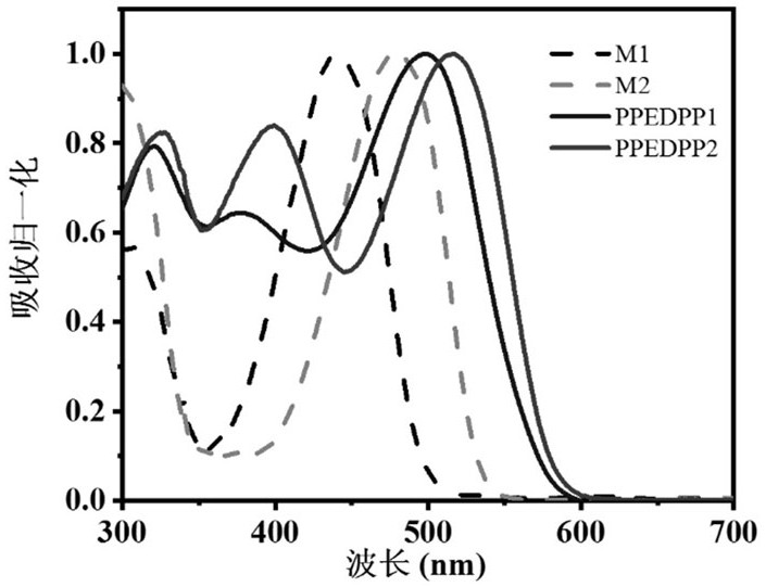 Fluorescent conjugated polymer containing pyrrolopyrrolidone building block, preparation method and application