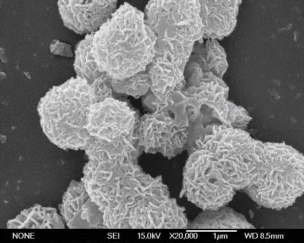 BiOBr0.2I0.8/graphene composite visible-light-induced photocatalyst and preparation method thereof