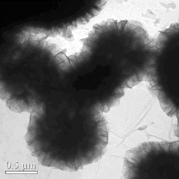 BiOBr0.2I0.8/graphene composite visible-light-induced photocatalyst and preparation method thereof