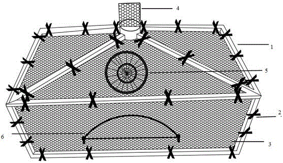 Indoor aphid and aphidius avenae propagation device