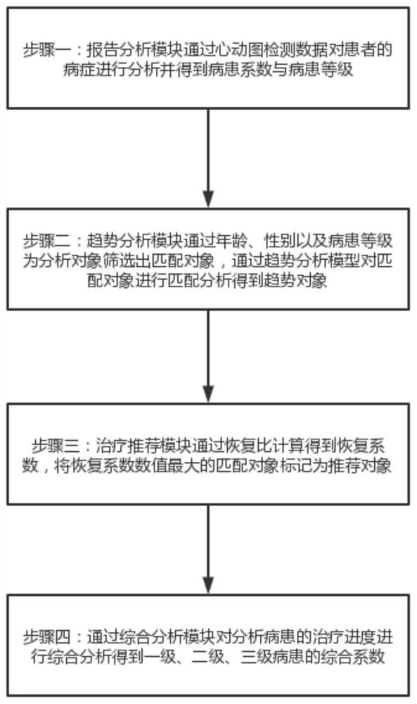 Treatment decision-making system based on echocardiogram detection report