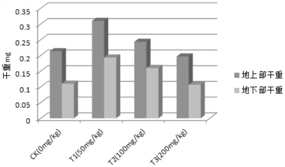 A method for phytoremediation of chromium-contaminated soil