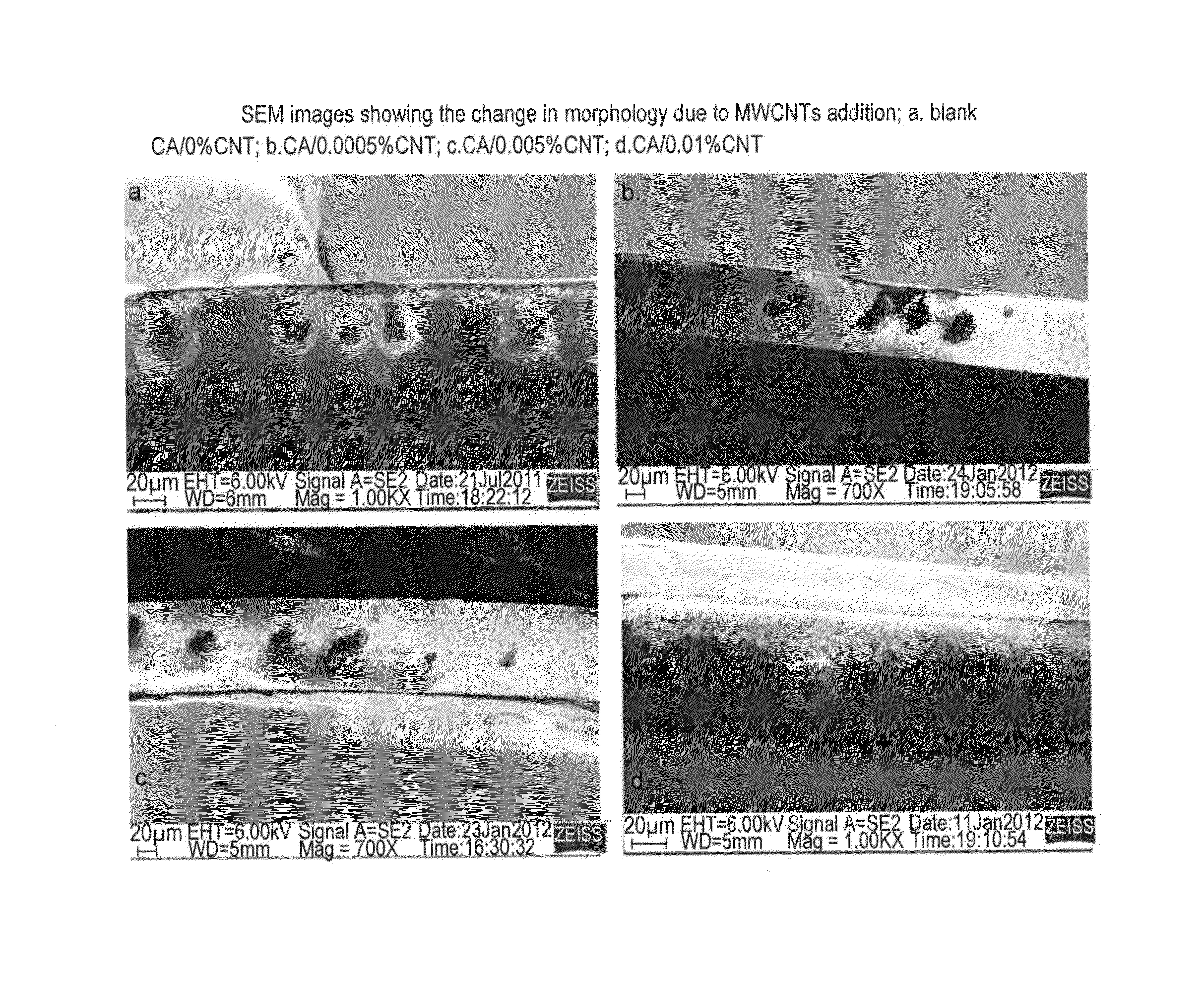 Polymer-carbon nanotube nanocomposite porous membranes