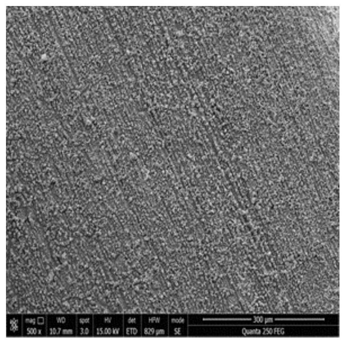 Copper-nickel-supported tio for reduction of nitrate nitrogen in water  <sub>2</sub> Nanotube Array Electrode