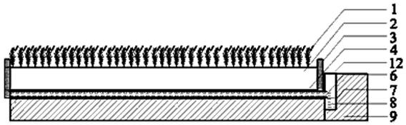 Method for improving seriously saline-alkali land of oasis area and planting high-quality lawn