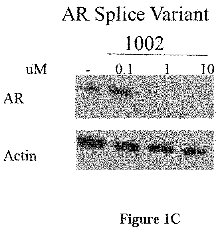 Selective androgen receptor degrader (SARD) ligands and methods of use thereof