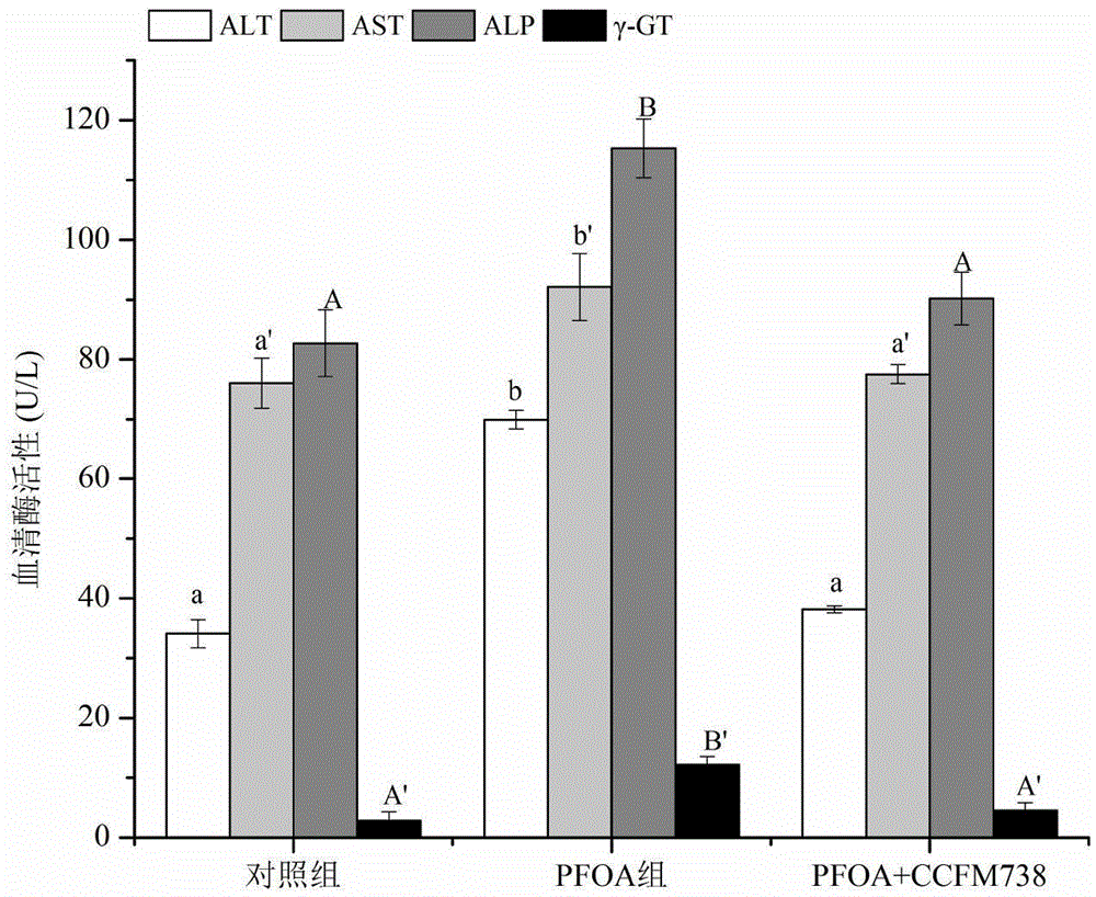 Lactobacillus plantarum with function of relieving PFOA (Perfluorooctanoate) toxicity and application thereof