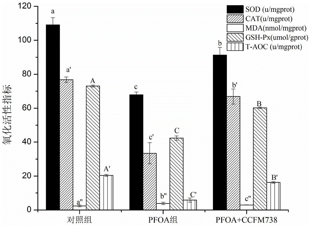 Lactobacillus plantarum with function of relieving PFOA (Perfluorooctanoate) toxicity and application thereof