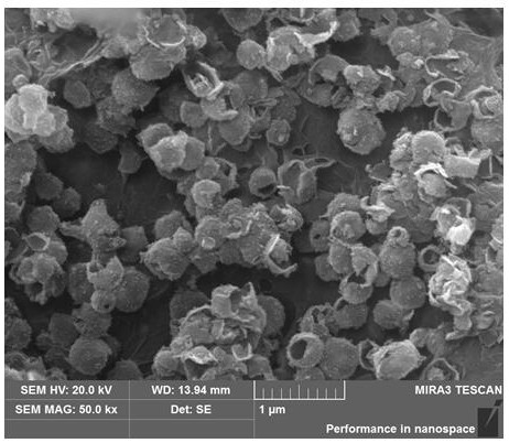 A kind of transition metal selenium sulfur complex and preparation method thereof