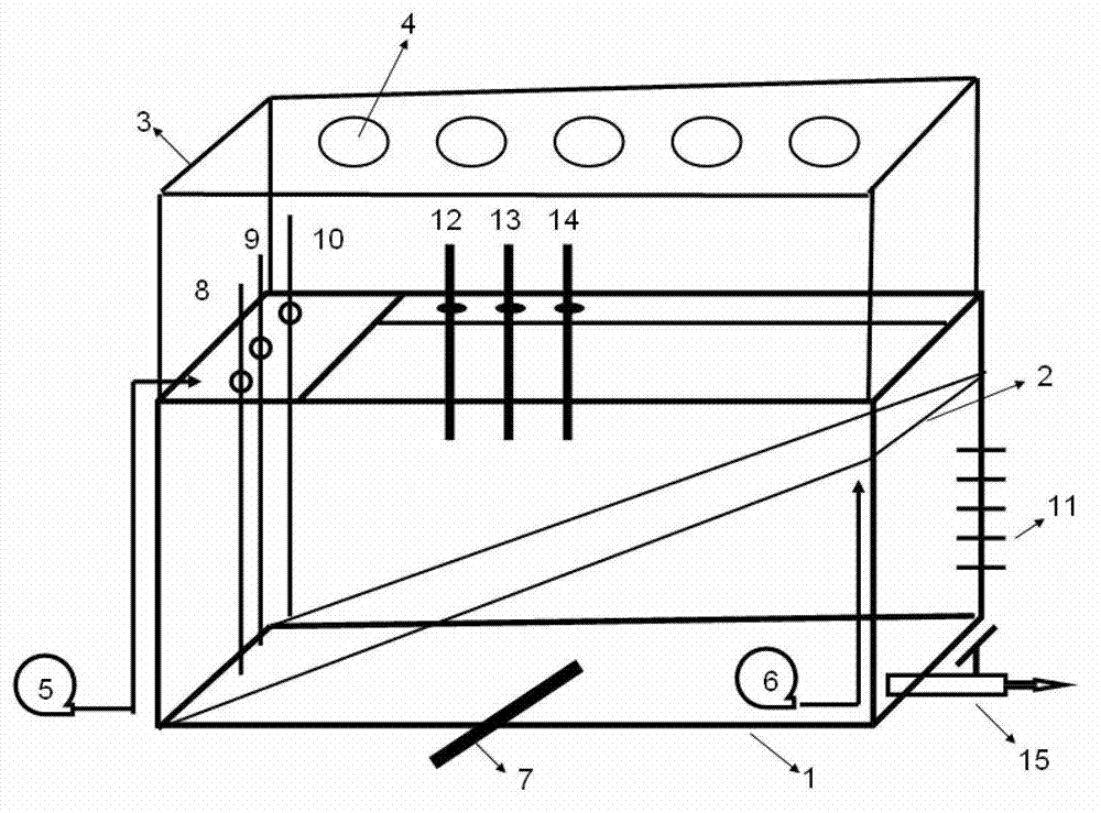 Automatic simulation device for intertidal zone environmental change