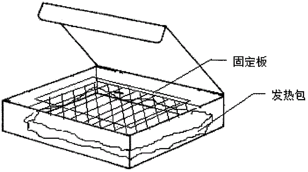 Fixation apparatus applicable to fracture or radiotherapy