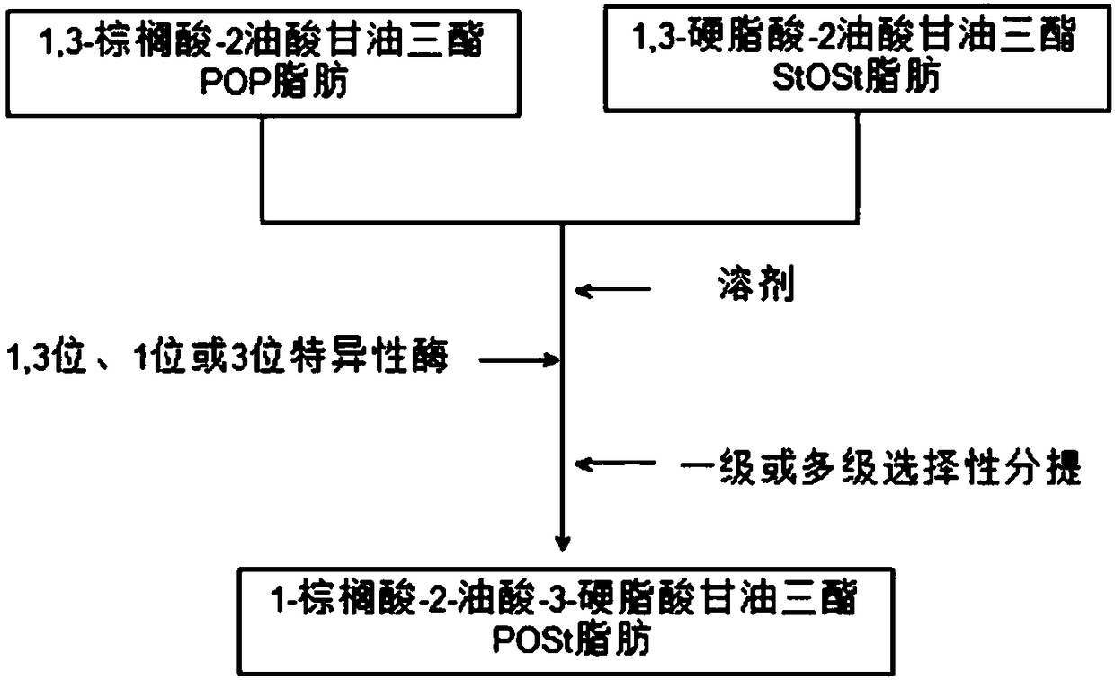 Preparation method of 1-palmitate-2-oleate-3-stearate triglyceride fat