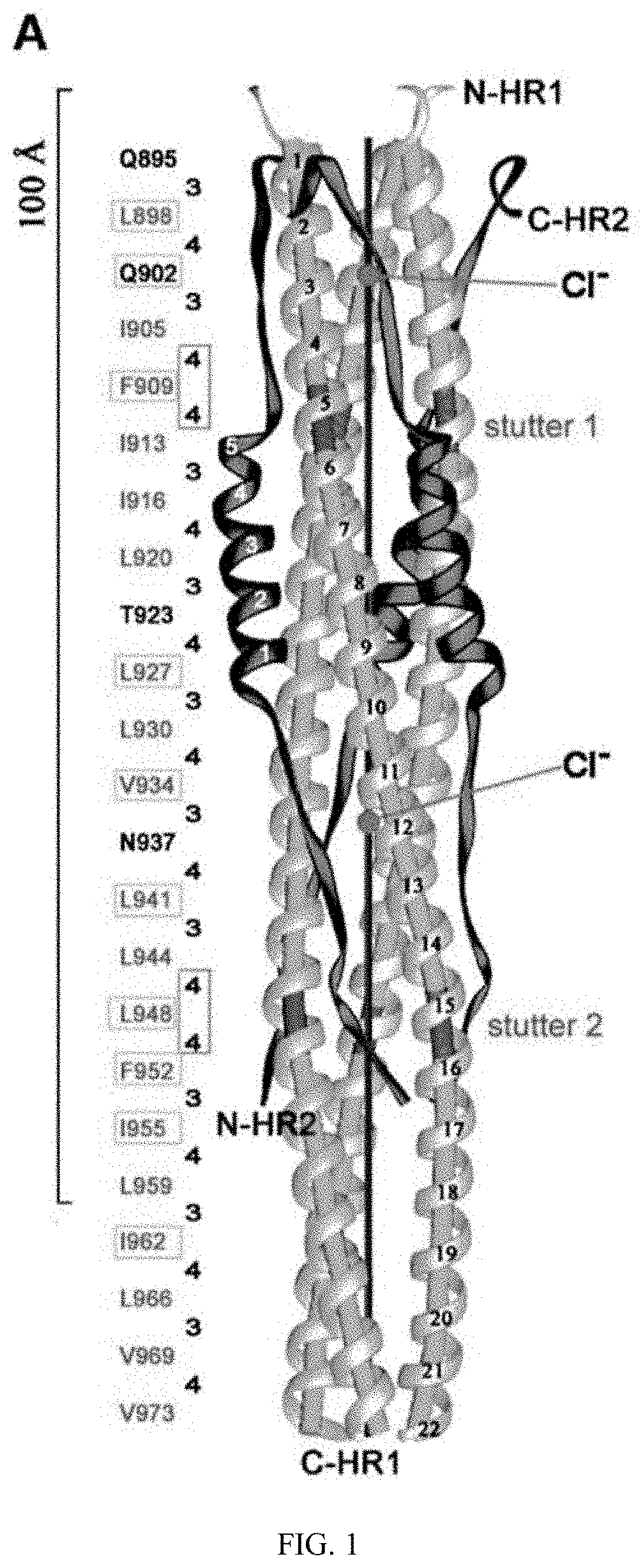 Methods and compositions for treating infections