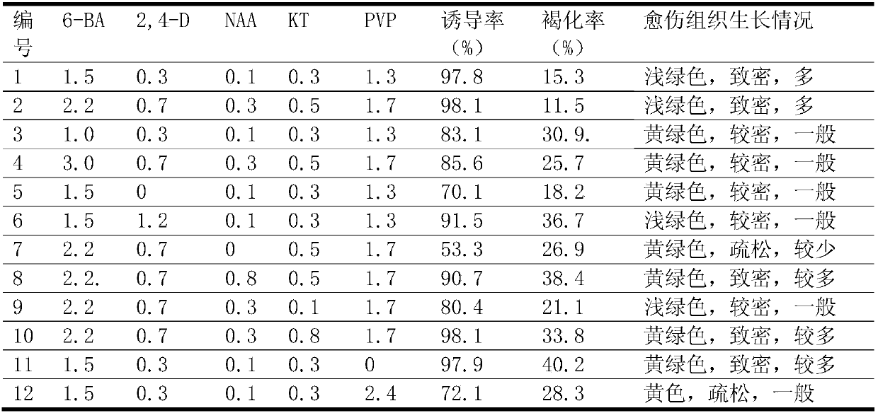 Preparation method of root and rhizome of divaricate gynura