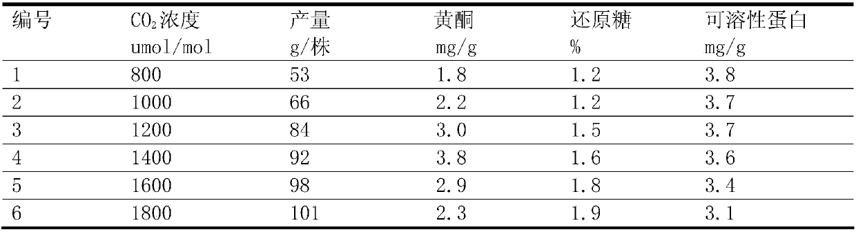 Preparation method of root and rhizome of divaricate gynura