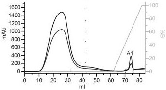 Method for rapidly and quantitatively detecting rabies virus antibody by using rabies virus G protein, coding gene of G protein and test paper