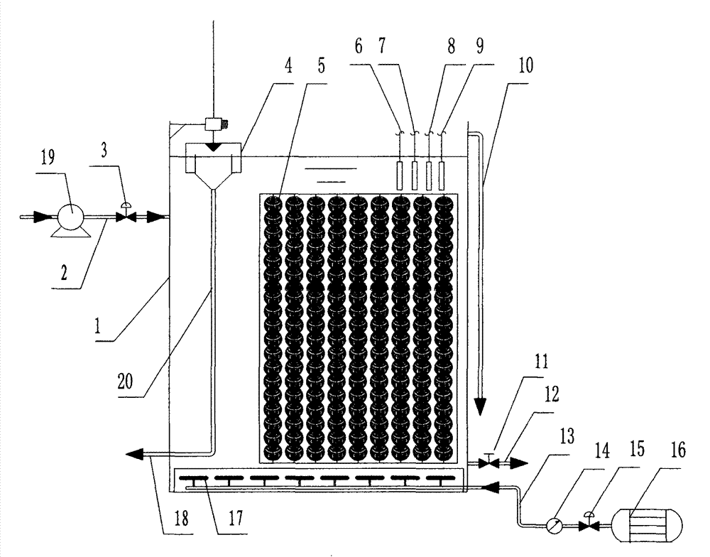 Polymorphic microorganism aggregate autotrophic nitrogen removal integrated device and operation method