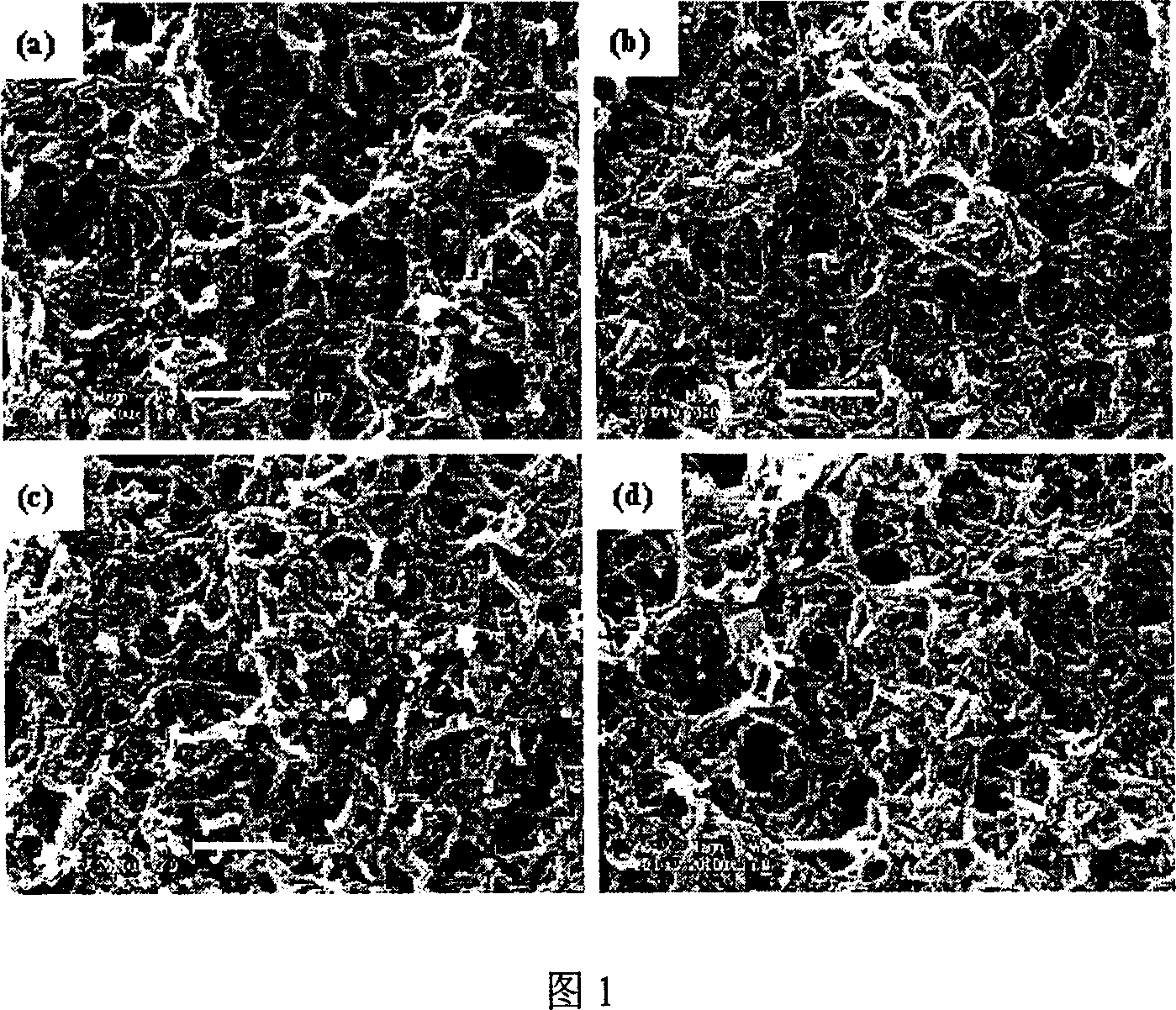 Electrochemical method for synthesizing Nano fiber of polyaniline