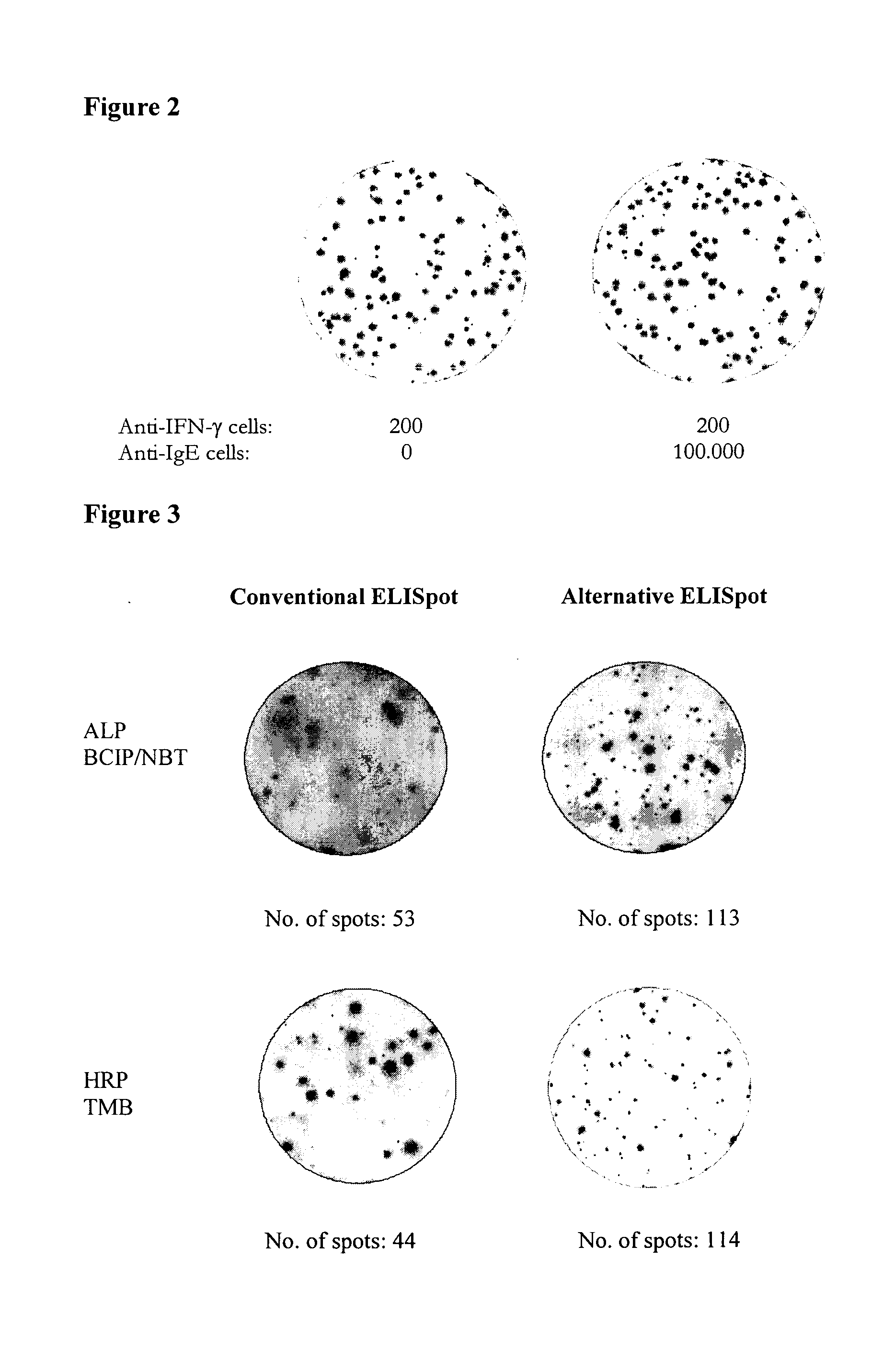 Antibody-secreting cell assay