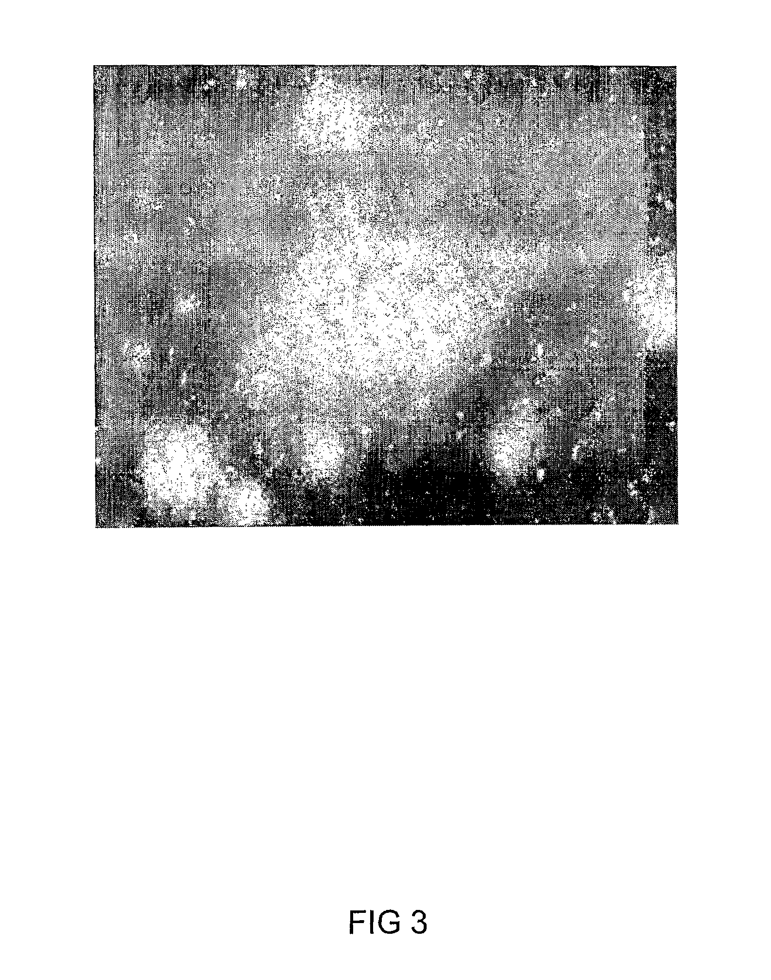 Methods and compounds for detection of medical disorders