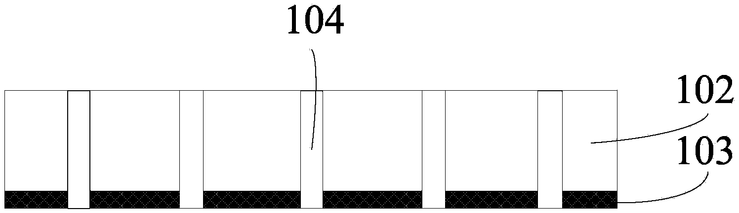 Method for imaging processing of nanorod/nanoneedle forest structure