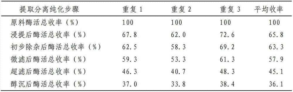 High-activity chitosanase and preparation method thereof